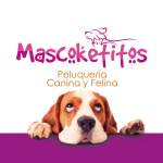 Fotos de Mas Coketos Peluquería Canina Profesional