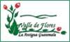 Fotos de Flores De Antigua