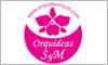 Orquideas S Y M