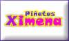 PiÑatas Ximena