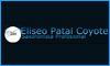 Fotos de Saxofonista Eliseo Patal Coyote