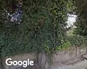 Foto exterior de Albergues De TecpÁn
