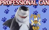 Fotos de “Professional Can” Clinica Veterinaria
