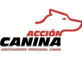 Fotos de Acción Canina Adiestramiento Profesional Canino