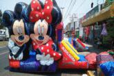 Fotos de Alquiladora 