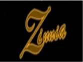Alta Tecnologia Para Eventos “Zinnia”