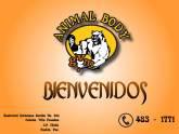 Fotos de Animal Body Gym
