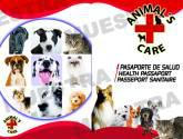 Fotos de Animal´s Care
