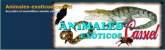 Fotos de Animales Exoticos Cassiel