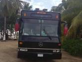 Fotos de Autobuses Zamagra Tour's