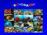 Fotos de Bichos Acuario