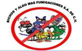 Fotos de Bichos Y Algo Mas Fumigaciones S.a De C.v
