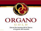 Fotos de Café Millonario Con Mentoria De Los Numero 1