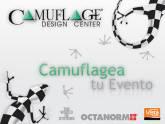 Fotos de Camuflage