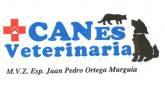 Fotos de Santo Coyote