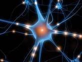 Fotos de Clinica De Neurologia Niños Y Adultos - Neurologos En Puebla