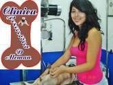 Fotos de Clinica Veterinaria De Aleman