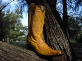 Fotos de Cocoy Boots