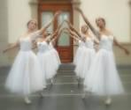 Compañía Profesional De Danza Clásica Y Moderna.