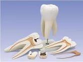 Fotos de Consultorio Dental Integral