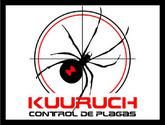 Fotos de Control De Plagas Y Fumigación En Chihuahua Kuuruch