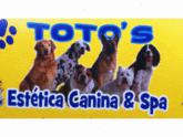 Fotos de Curso (Estética Canina Y Spa) Toto's