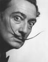 Dali Taller De Pintura Y Dibujo, En Los Mochis