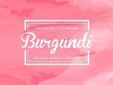 Fotos de Diseño Gráfico Burgundi