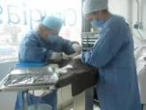 Fotos de Dog Paw Clínica Veterinaria