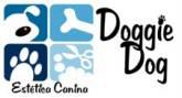 Fotos de Doggie Dog