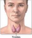 Fotos de Dr. Antonio Escalante Herrera Endocrinólogo