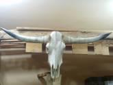El Mezquite Cowboy Shop