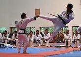 Fotos de Escuelas De Taekwondo En Atlixco