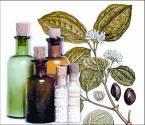 Fotos de Farmacia Homeopatica, El Divino Maestro Dra. Ma. Del Pilar M