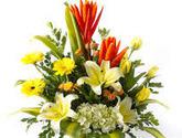 Floreria Angelica