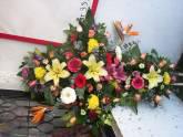 Fotos de Floreria, Floristeria D Rosses