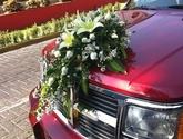 Fotos de Floreria Mundiflor En Guadalajara