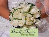 Fotos de Florerias Deloff Mexico