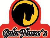 Gala Dog´s - Gala Horse's Fabricantes Químicos