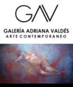 Fotos de Galería Adriana Valdés