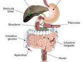 Fotos de Gastroenterologo Y Cirujano Laparoscopista Dr Arturo Jarquin