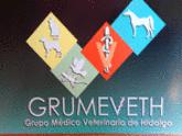 Fotos de Grumeveth Grupo Médico Veterinario De Hidalgo