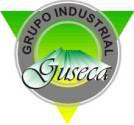 Grupo Industrial Guseca S.a De C.v.