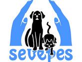 Hospital Veterinario Sevepes Especialidades
