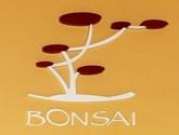 Fotos de Hotel Bonsai