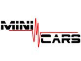 Juguetes A Control Remoto Mini Cars