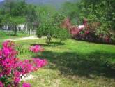 Los Girasoles Tu Patrimonio Inmobiliario S.a De C.v