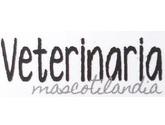 Fotos de Mascotilandia, Clínica Veterinaria
