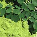 Fotos de Moringa Guadalajara