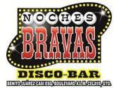 Fotos de Noches Bravas